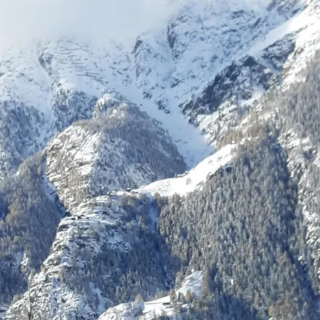 Sven & Marc Graechen, Niedergraechen Vallis Sankt Niklaus