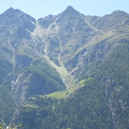 Sven & Marc Graechen, Niedergraechen Vallis * Sankt Niklaus