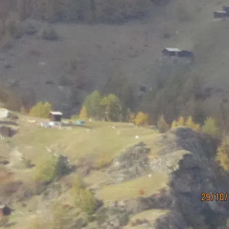 Sven & Marc Graechen, Niedergraechen Vallis * Sankt Niklaus