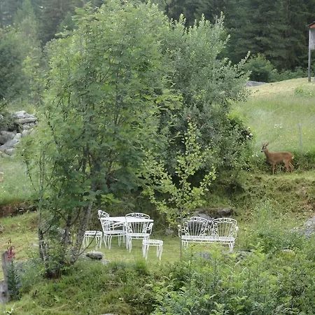 Sven & Marc Graechen, Niedergraechen Vallis