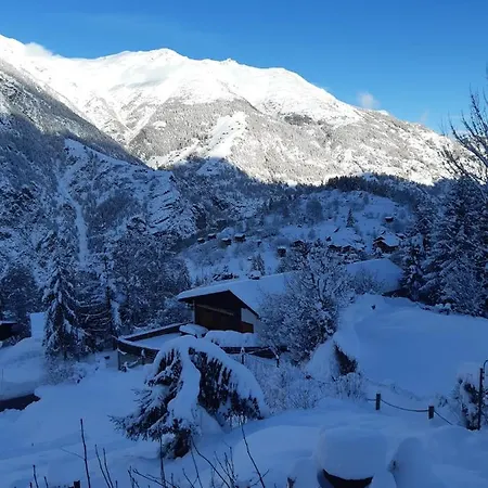 Sven & Marc Graechen, Niedergraechen Vallis Alpstuga *