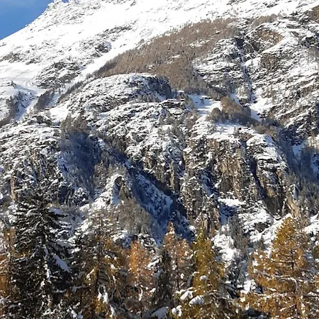 Sven & Marc Graechen, Niedergraechen Vallis * Sankt Niklaus