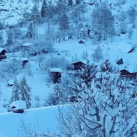 Sven & Marc Graechen, Niedergraechen Vallis * Sankt Niklaus